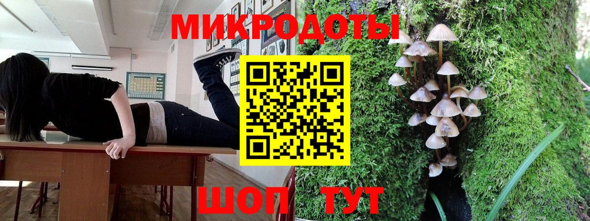 Рубцовск  Галлюциногенные грибы Psilocybe  Вход с VPN 